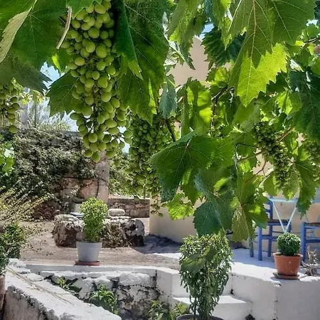 Agrilias With Private Pool Mánganos